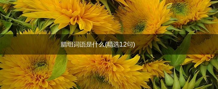 腊组词语是什么(精选12句),第1张