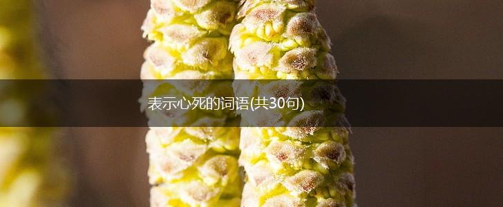 表示心死的词语(共30句),第1张