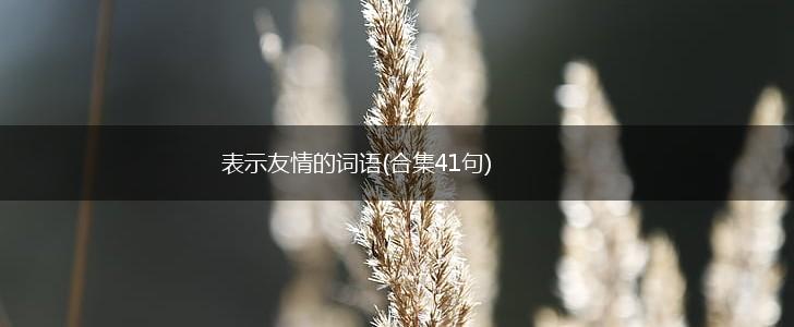 表示友情的词语(合集41句),第1张