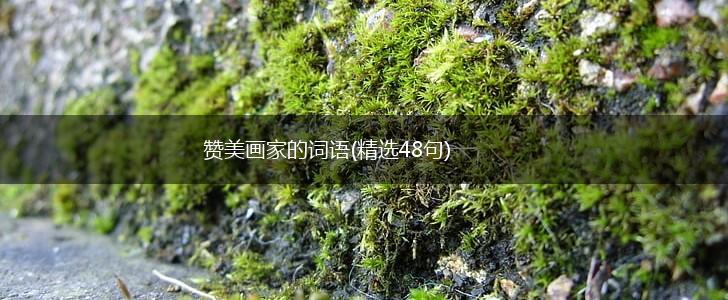 赞美画家的词语(精选48句),第1张