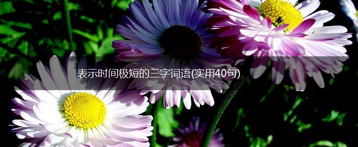 表示时间极短的三字词语(实用40句),第1张