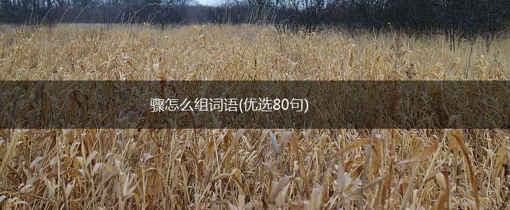 骤怎么组词语(优选80句),第1张