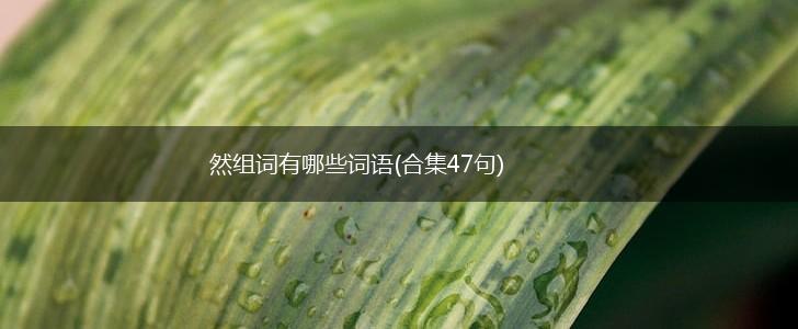然组词有哪些词语(合集47句),第1张
