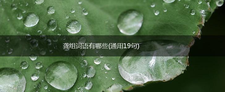 龚组词语有哪些(通用19句),第1张