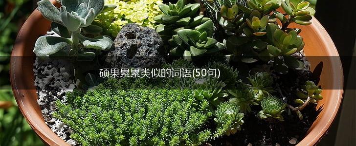 硕果累累类似的词语(50句),第1张
