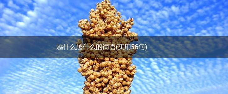 越什么越什么的词语(实用56句),第1张
