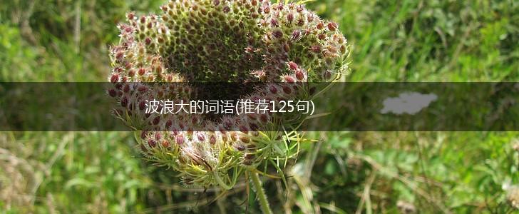 波浪大的词语(推荐125句),第1张