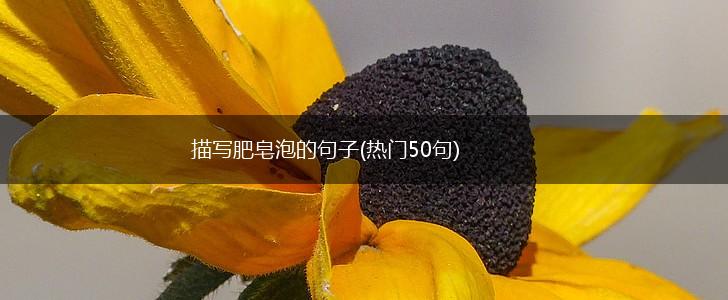 描写肥皂泡的句子(热门50句),第1张