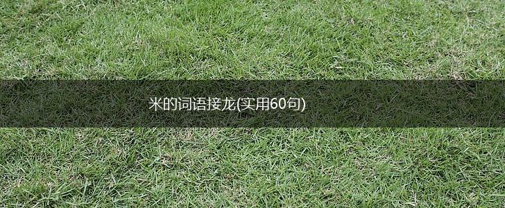 米的词语接龙(实用60句),第1张