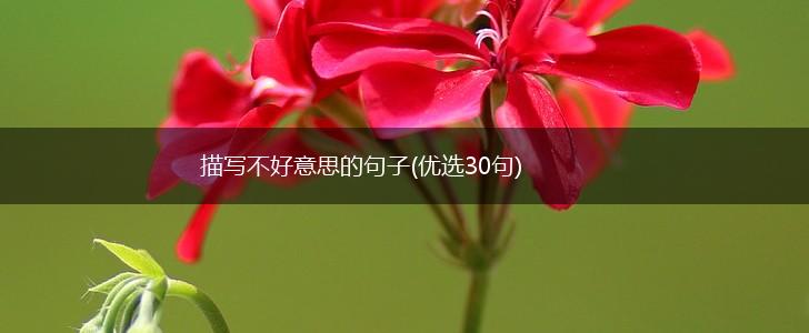 描写不好意思的句子(优选30句),第1张