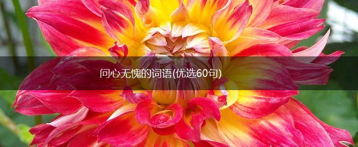 问心无愧的词语(优选60句),第1张