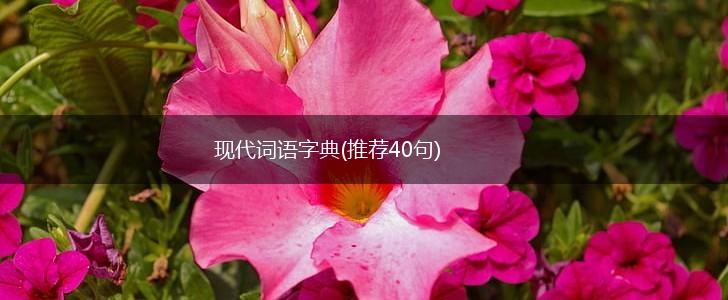 现代词语字典(推荐40句),第1张