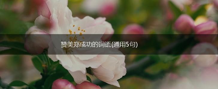 赞美郑成功的词语(通用5句),第1张