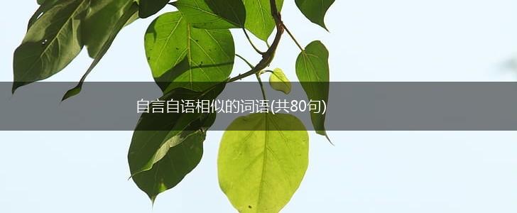 自言自语相似的词语(共80句),第1张