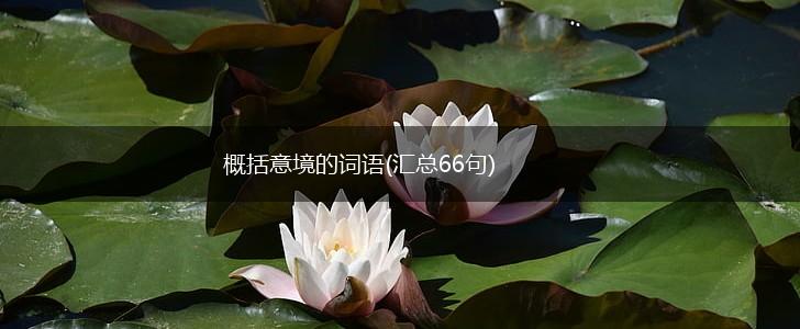 概括意境的词语(汇总66句),第1张