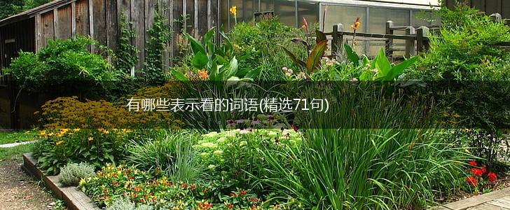 有哪些表示看的词语(精选71句),第1张