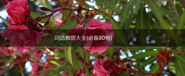 词语意思大全(必备80句),第1张