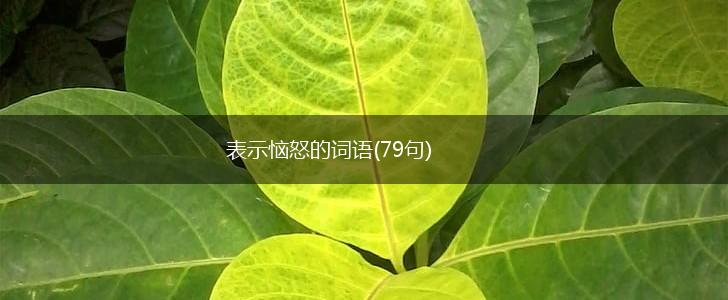 表示恼怒的词语(79句),第1张