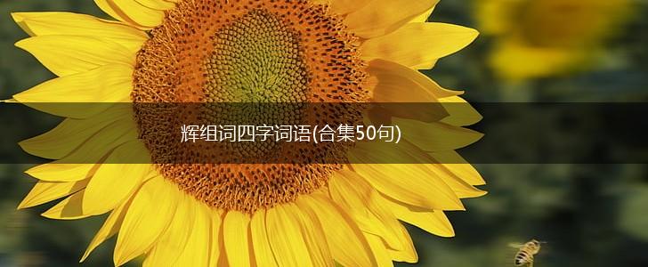 辉组词四字词语(合集50句),第1张