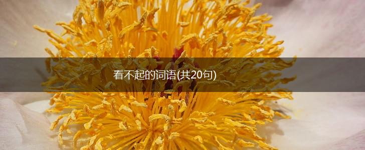看不起的词语(共20句),第1张