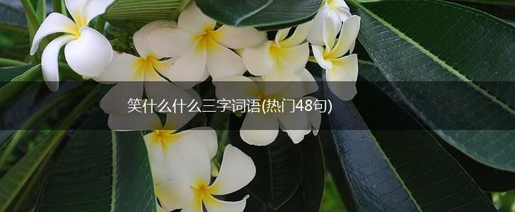笑什么什么三字词语(热门48句),第1张