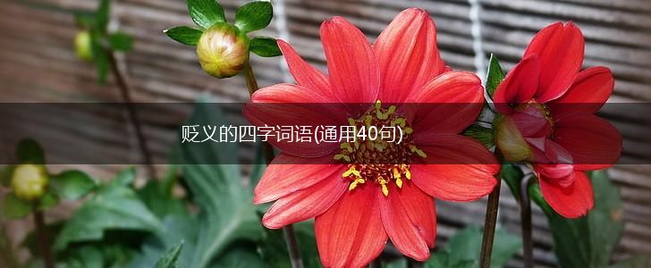 贬义的四字词语(通用40句),第1张
