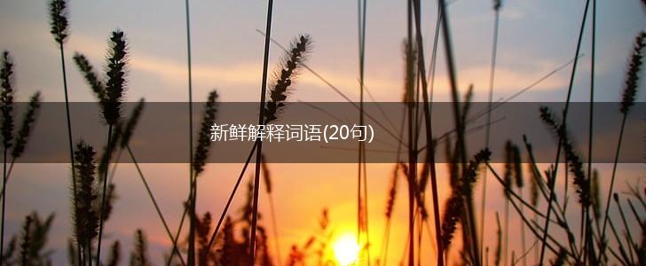 新鲜解释词语(20句),第1张