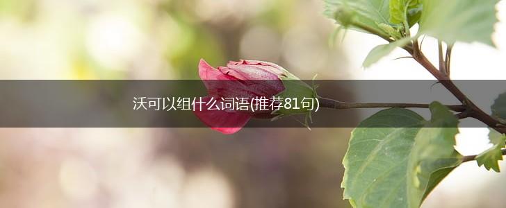 沃可以组什么词语(推荐81句),第1张