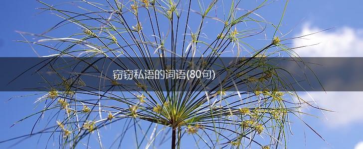 窃窃私语的词语(80句),第1张