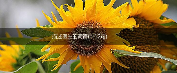 描述医生的词语(共12句),第1张