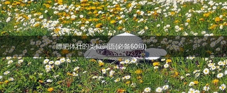 膘肥体壮的类似词语(必备60句),第1张