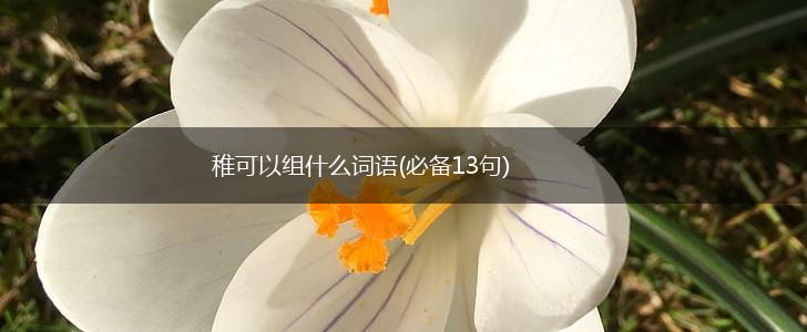 稚可以组什么词语(必备13句),第1张