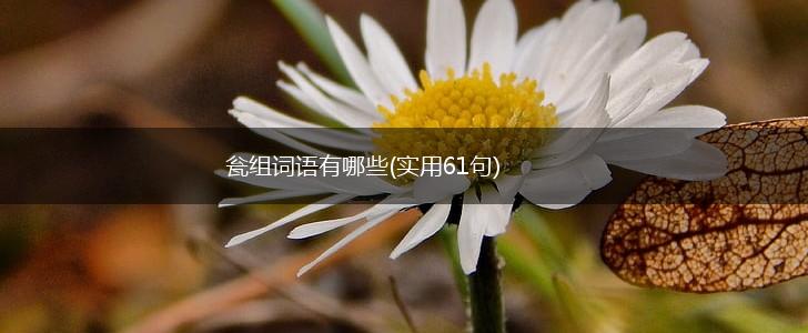 瓮组词语有哪些(实用61句),第1张