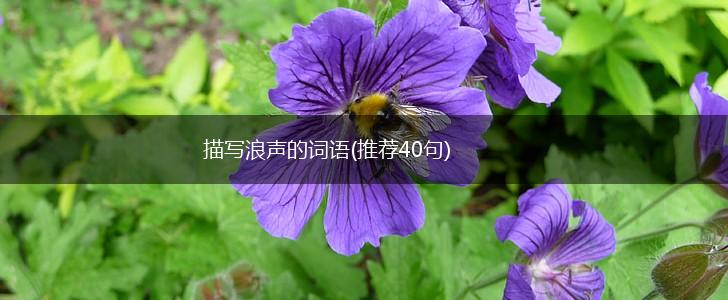 描写浪声的词语(推荐40句),第1张