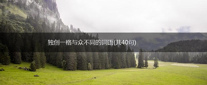 独创一格与众不同的词语(共40句),第1张