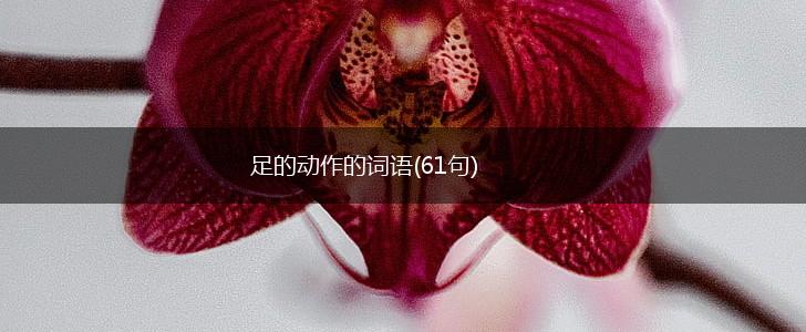足的动作的词语(61句),第1张