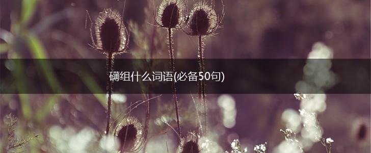 礴组什么词语(必备50句),第1张