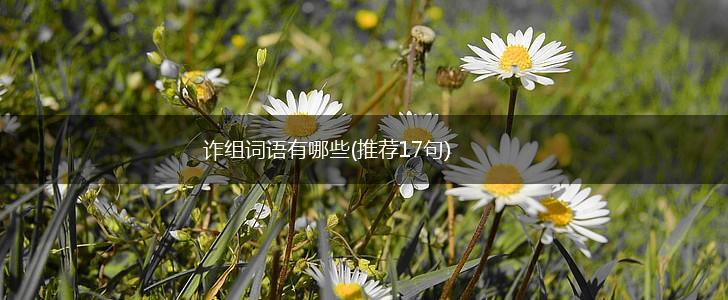 诈组词语有哪些(推荐17句),第1张