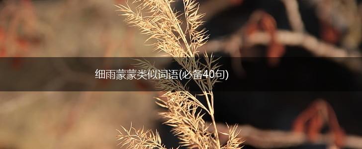 细雨蒙蒙类似词语(必备40句),第1张