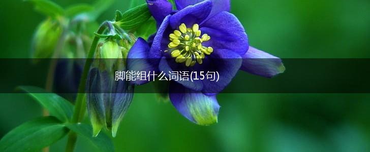 脚能组什么词语(15句),第1张