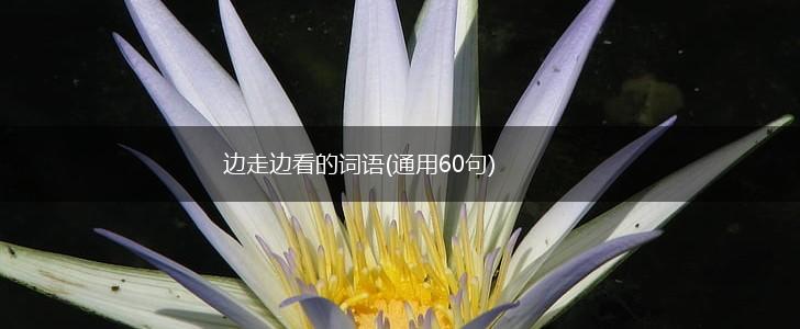 边走边看的词语(通用60句),第1张