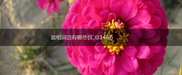 盈组词语有哪些(汇总14句),第1张
