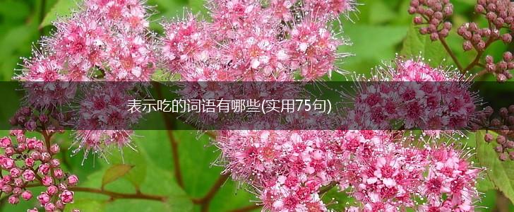表示吃的词语有哪些(实用75句),第1张