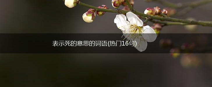 表示死的意思的词语(热门16句),第1张