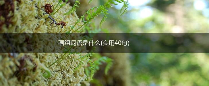 画组词语是什么(实用40句),第1张