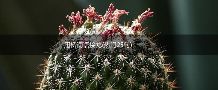 用桥词语接龙(热门25句),第1张