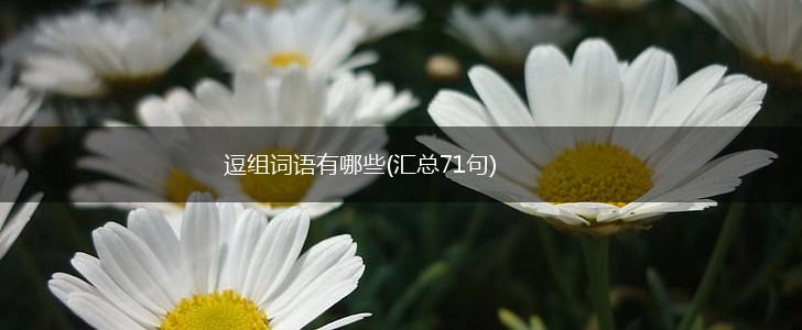 逗组词语有哪些(汇总71句),第1张