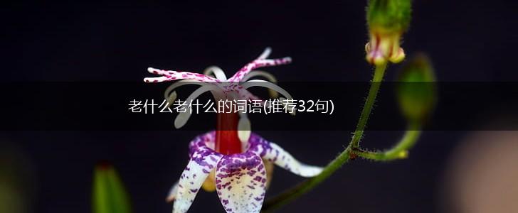老什么老什么的词语(推荐32句),第1张
