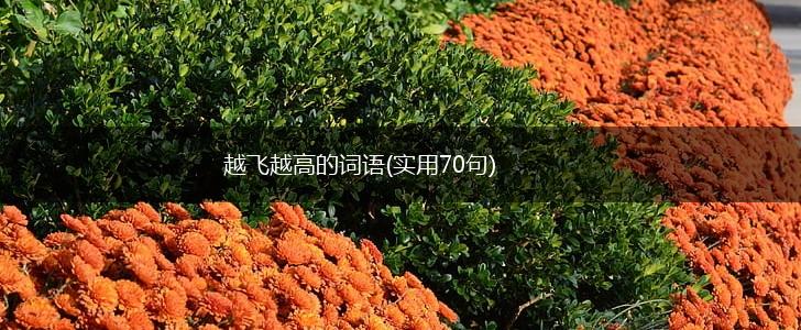 越飞越高的词语(实用70句),第1张