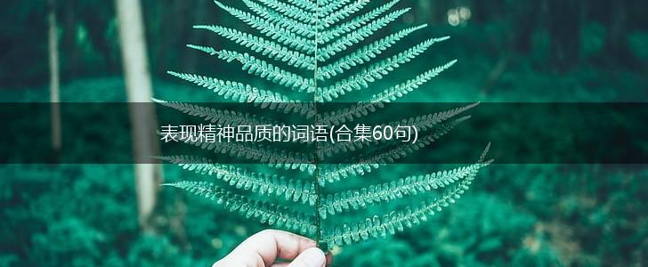 表现精神品质的词语(合集60句),第1张